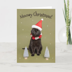 Cartes Pour Fêtes Annuelles Joyeux Noël à tous Drôle de chat dans un chapeau d
