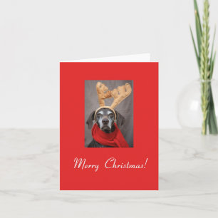 Cartes Pour Fêtes Annuelles Joyeux Noël Allemand pointeur court