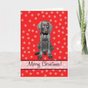 Cartes Pour Fêtes Annuelles Joyeux Noël Allemand pointeur court