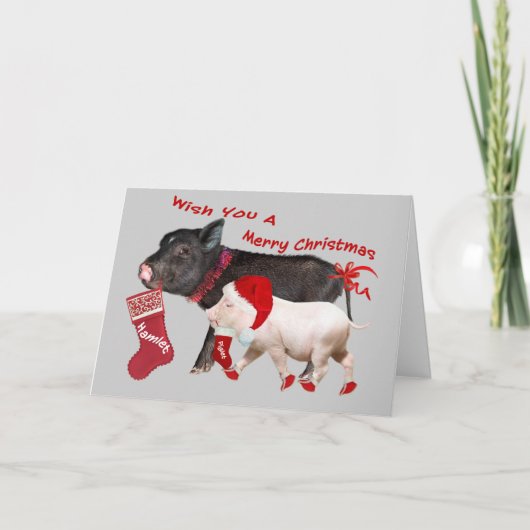 Cartes Pour Fêtes Annuelles Joyeux Noël au cochon de ventre (Devant)
