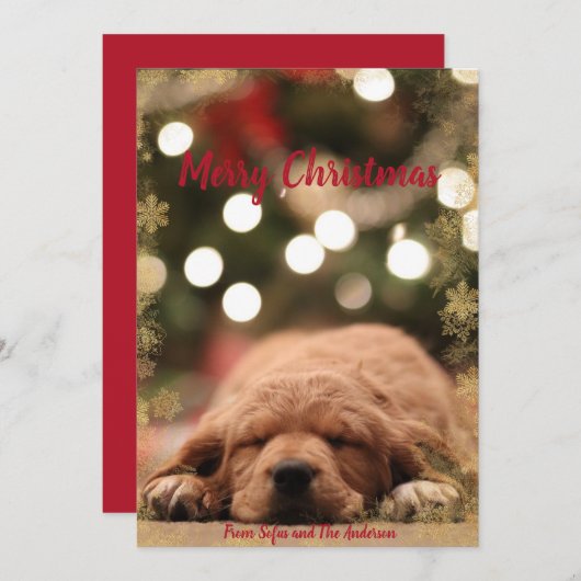 Cartes Pour Fêtes Annuelles Joyeux Noël avec cadre de flocon doré (Devant / Derrière)