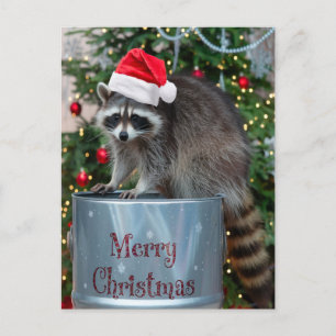 Cartes Pour Fêtes Annuelles Joyeux Noël avec Raccoon Père Noël Scene