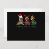 Cartes Pour Fêtes Annuelles Joyeux Noël avec trois chiens pug (Devant / Derrière)