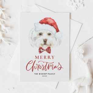 Cartes Pour Fêtes Annuelles Joyeux Noël avec un Maltais mignon à l'aquarelle