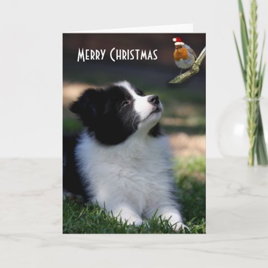 Cartes Pour Fêtes Annuelles Joyeux Noël Bébé Bordure Collie (Devant)