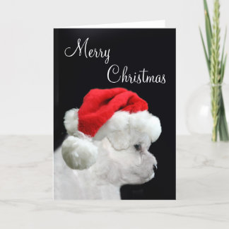 Cartes Pour Fêtes Annuelles Joyeux Noël Bichon Frise