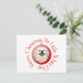 Cartes Pour Fêtes Annuelles Joyeux Noël blanc Pekingese (Debout devant)