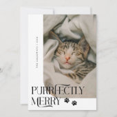Cartes Pour Fêtes Annuelles Joyeux Noël blanc photo de chat (Devant)