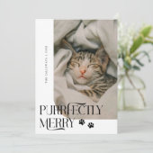 Cartes Pour Fêtes Annuelles Joyeux Noël blanc photo de chat (Debout devant)