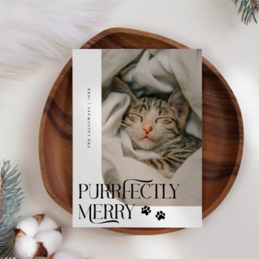 Cartes Pour Fêtes Annuelles Joyeux Noël blanc photo de chat