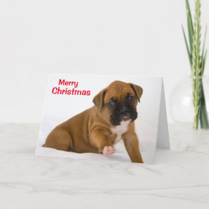 Cartes Pour Fêtes Annuelles Joyeux Noël boîte de Puppy Card