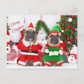 Cartes Pour Fêtes Annuelles Joyeux Noël Bulldogs français Père Noël et Elf (Devant)