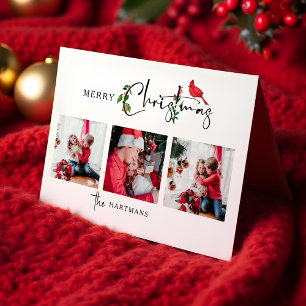Cartes Pour Fêtes Annuelles Joyeux Noël Calligraphie Botanique 3 Photo