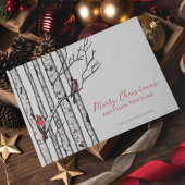 Cartes Pour Fêtes Annuelles Joyeux Noël Cardinals Branches de bijoux Photo