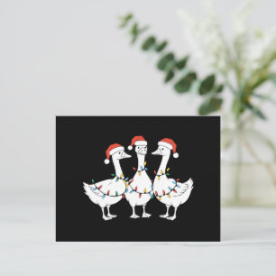 Cartes Pour Fêtes Annuelles Joyeux Noël Chapeau de Père Noël Canards Vacances