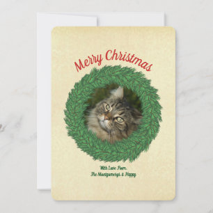 Cartes Pour Fêtes Annuelles Joyeux Noël Chat dans une Couronne Photo d'Animal