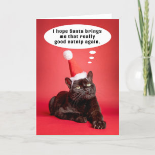 Cartes Pour Fêtes Annuelles Joyeux Noël Chat Drôle Pensant à l'Herb à Chat Hum