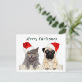Cartes Pour Fêtes Annuelles Joyeux Noël Chat et chien Carlin (Debout devant)