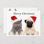 Cartes Pour Fêtes Annuelles Joyeux Noël Chat et chien Carlin (Devant / Derrière)