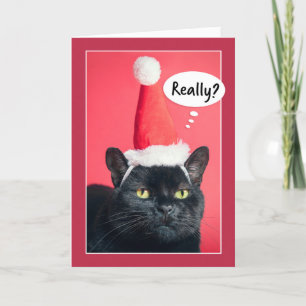 Cartes Pour Fêtes Annuelles Joyeux Noël Chat Irrité en Chapeau de Père Noël Hu