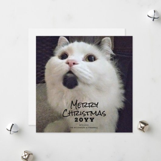 Cartes Pour Fêtes Annuelles Joyeux Noël Chat Pet Photo (Devant/Arrière en situation)