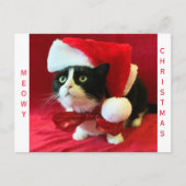 Cartes Pour Fêtes Annuelles Joyeux Noël Chat Smoking (Devant)