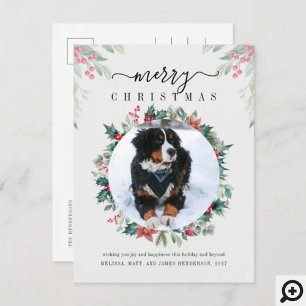 Cartes Pour Fêtes Annuelles Joyeux Noël Chien Photo Mistletoe