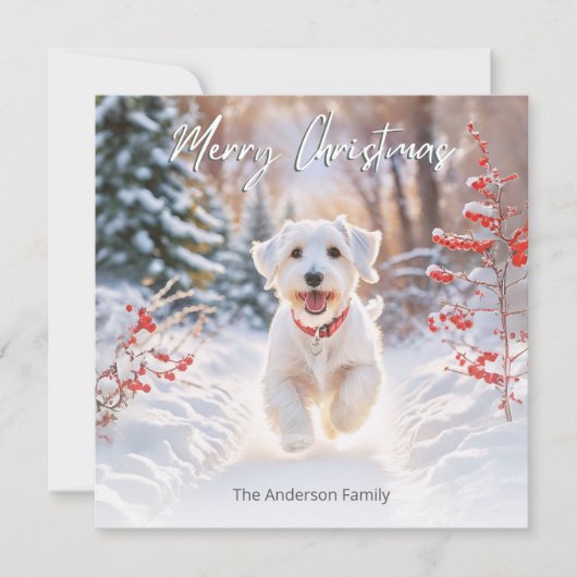 Cartes Pour Fêtes Annuelles Joyeux Noël Chien Terrier Sealyham Mignon Dans La (Devant)