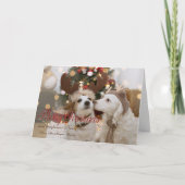 Cartes Pour Fêtes Annuelles Joyeux Noël, Chiens Amoureux (Devant)