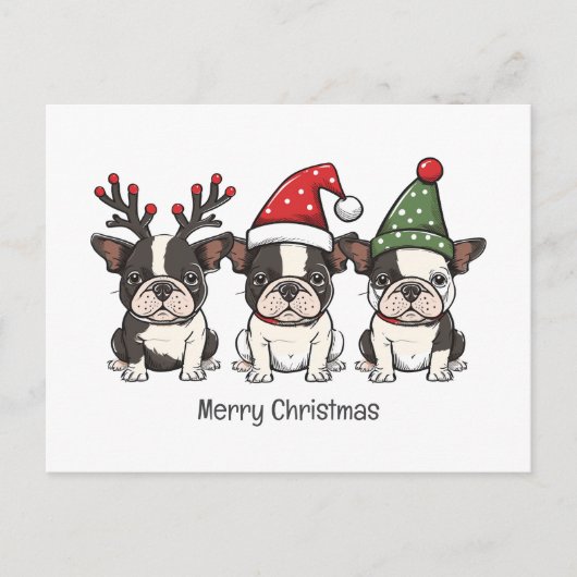 Cartes Pour Fêtes Annuelles Joyeux Noël Chiens Boston Terrier (Devant)