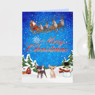 Cartes Pour Fêtes Annuelles Joyeux Noël Chihuahua avec Père Noël