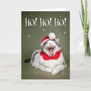 Cartes Pour Fêtes Annuelles Joyeux Noël Citation de chat drôle Ho Ho Ho