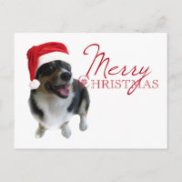 Joyeux Noël Corgi Père Noël