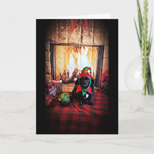 CARTES POUR FÊTES ANNUELLES JOYEUX NOËL COSY/CHALEUREUX / HEUREUX NOUVEL AN