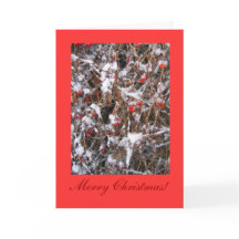 Joyeux Noël de baie