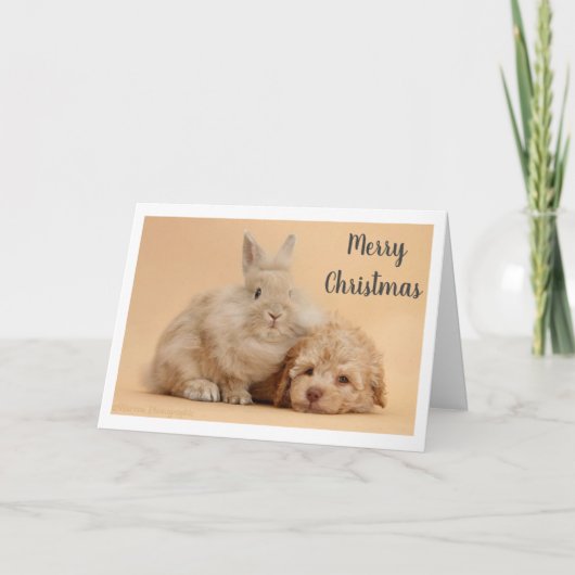Cartes Pour Fêtes Annuelles **JOYEUX NOËL** de BUNNY & PUPPY (Devant)