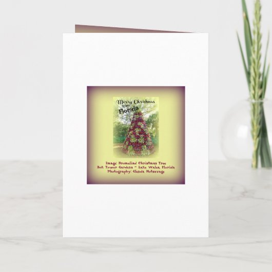 Cartes Pour Fêtes Annuelles Joyeux Noël de Floride Bromeliad Tree (Dos)