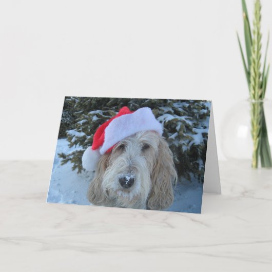 Cartes Pour Fêtes Annuelles Joyeux Noël de GBGV (Devant)