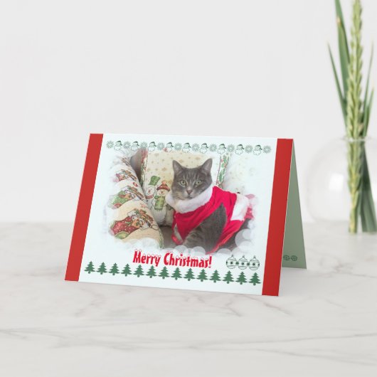 Cartes Pour Fêtes Annuelles Joyeux Noël de jolie chatte (Devant)