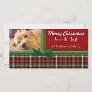 Cartes Pour Fêtes Annuelles Joyeux Noël de la coutume de chien