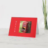 CARTES POUR FÊTES ANNUELLES "JOYEUX NOËL" DE L'ÉCUREUIL AFFAMÉ (Devant)