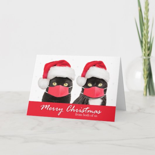 Cartes Pour Fêtes Annuelles Joyeux Noël de nous deux Chats dans les masques fa (Devant)