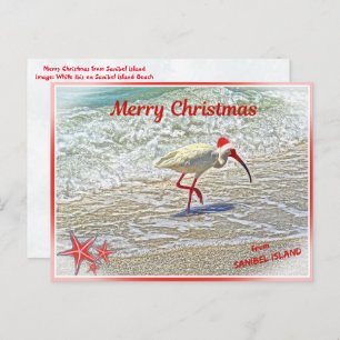 Cartes Pour Fêtes Annuelles Joyeux Noël de Sanibel Island FL White Ibis