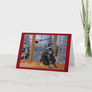 Cartes Pour Fêtes Annuelles Joyeux Noël de Scottie