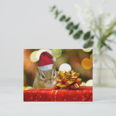 Cartes Pour Fêtes Annuelles Joyeux Noël de tamia mignonne (Debout devant)