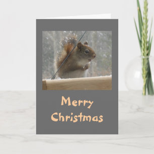 Cartes Pour Fêtes Annuelles Joyeux Noël d'écureuil