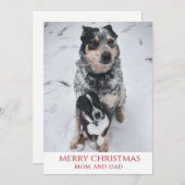 Cartes Pour Fêtes Annuelles Joyeux Noël Des Chiens (Devant / Derrière)