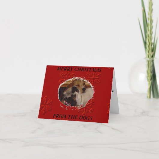 Cartes Pour Fêtes Annuelles Joyeux Noël des chiens (Devant)