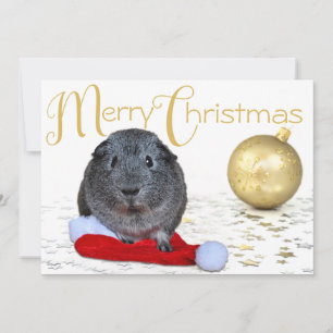 Cartes Pour Fêtes Annuelles Joyeux Noël doux cochon d'Inde ornement en or