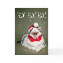 Joyeux Noël Drôle Chat Drôle Dire Ho Ho Ho